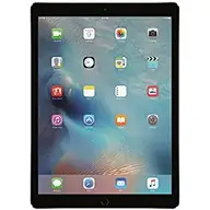 iPad Pro 12.9 1st Gen (Wi-Fi+Cellular)